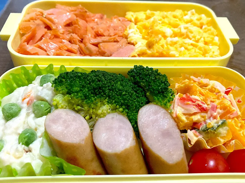 鮭二食丼弁当|料理嫌いを直したいさん