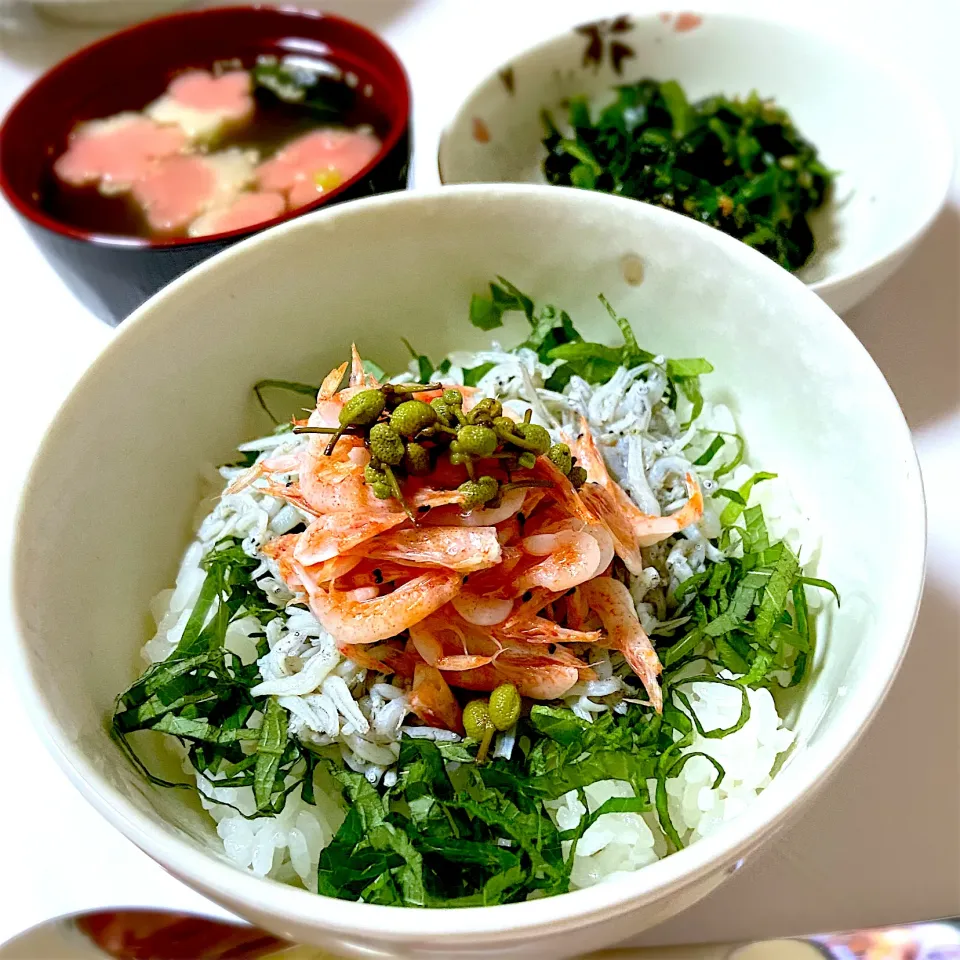 釜揚げしらすと桜えびの紅白丼|林とびぃさん