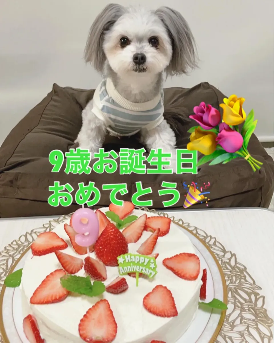 お誕生日ケーキ|みかんさん