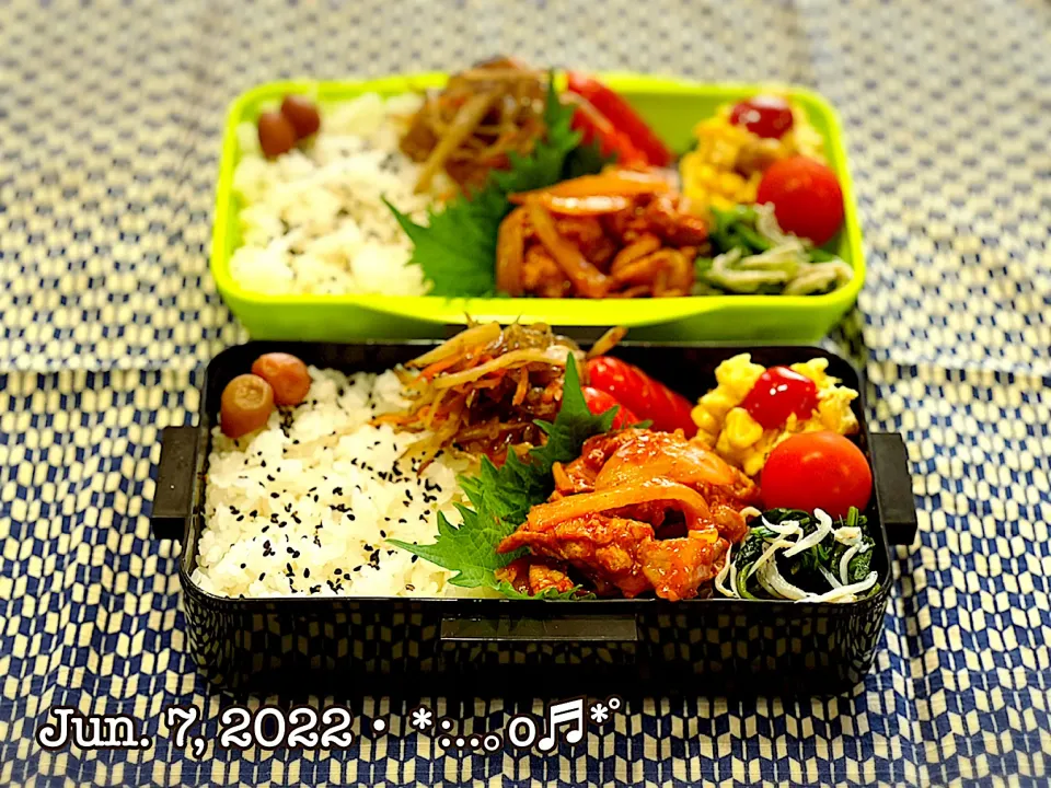 Snapdishの料理写真:2022/06/07お弁当〜♡|いく❤️さん