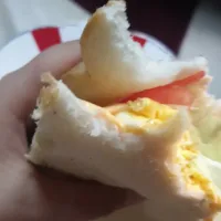 sandwich with double cheese|Nayabさん