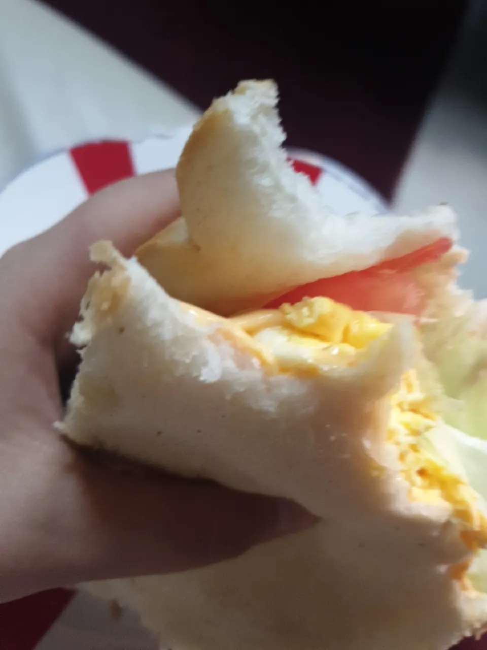 sandwich with double cheese|Nayabさん