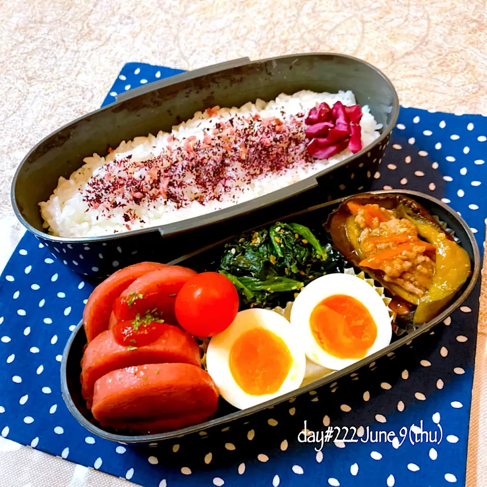 ★ある日のDK弁当★|♡ciao♡さん