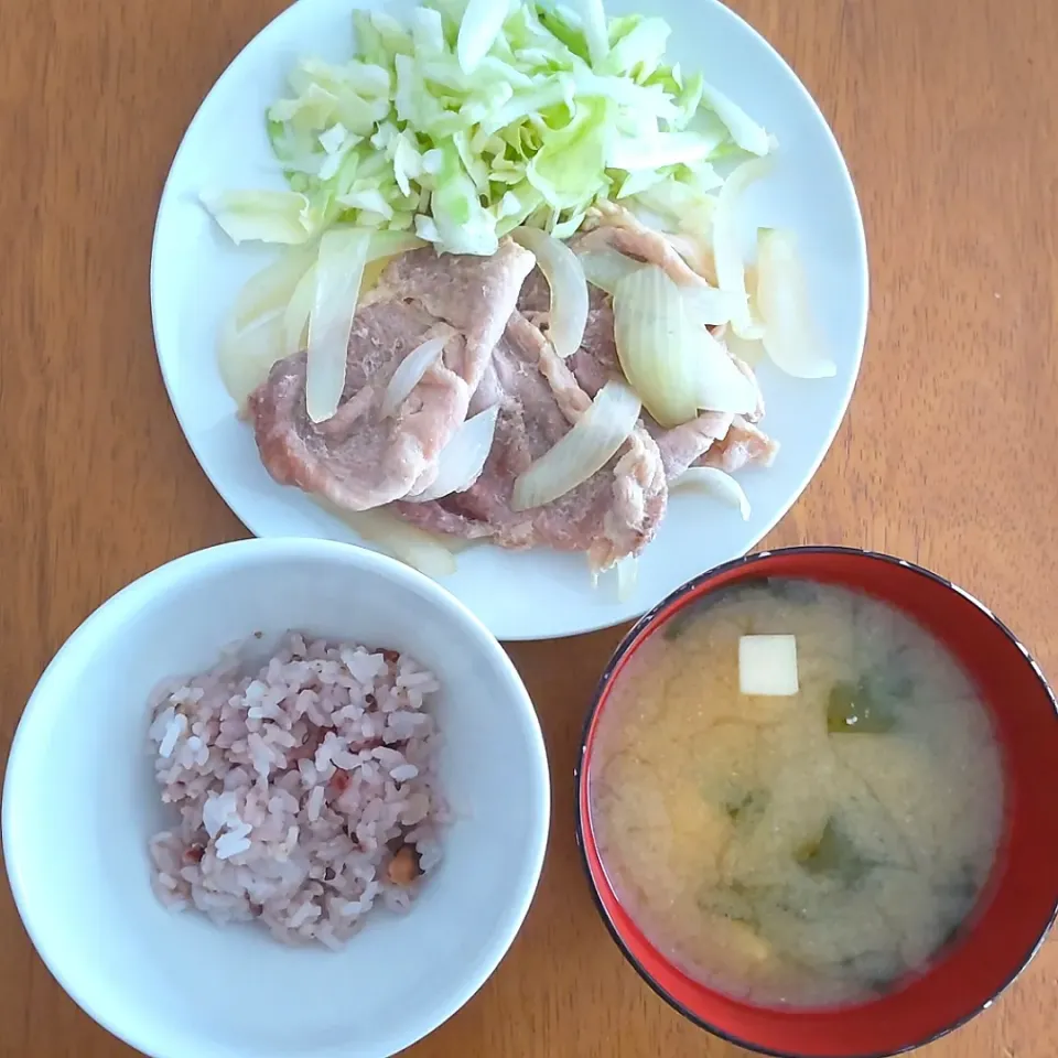 2022 0608　生姜焼き　酢キャベツ　豆腐とわかめのお味噌汁|いもこ。さん