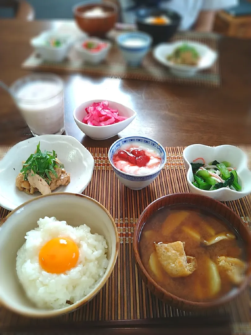 朝ごはん🌅！|まめころさん