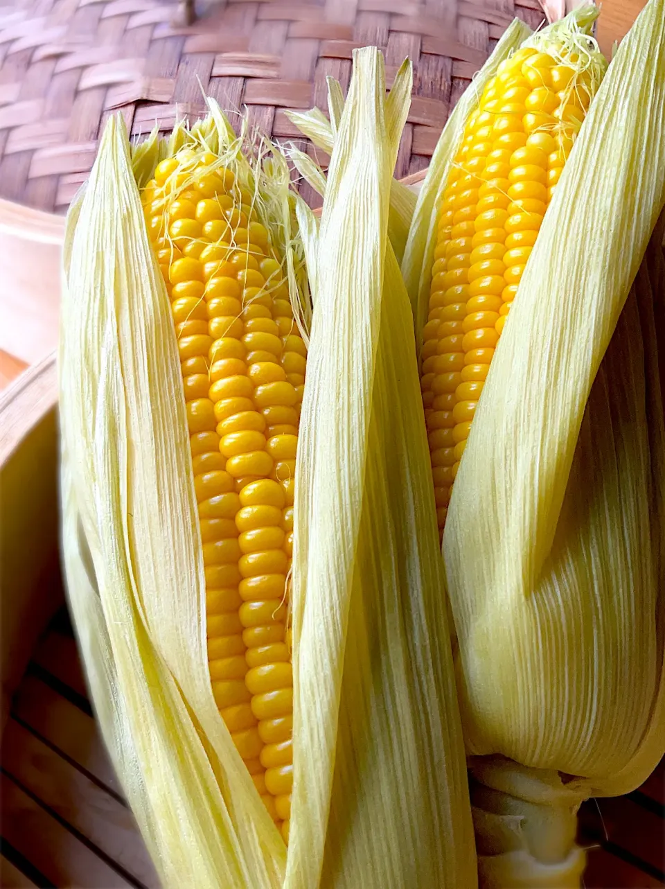 Snapdishの料理写真:とうもろこしのせいろ蒸し🌽♨️|9421beruさん