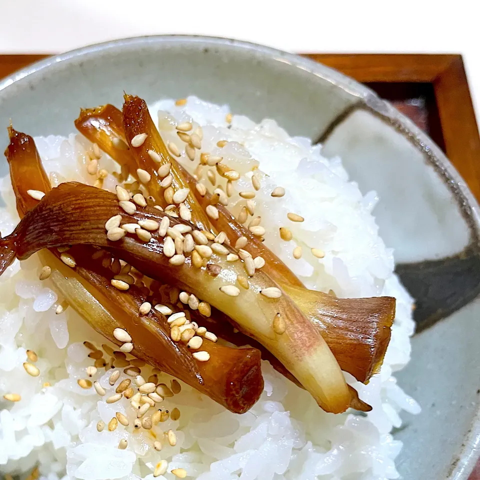 まめころさんの料理 みょうがの茎醤油漬け|モモマミさん