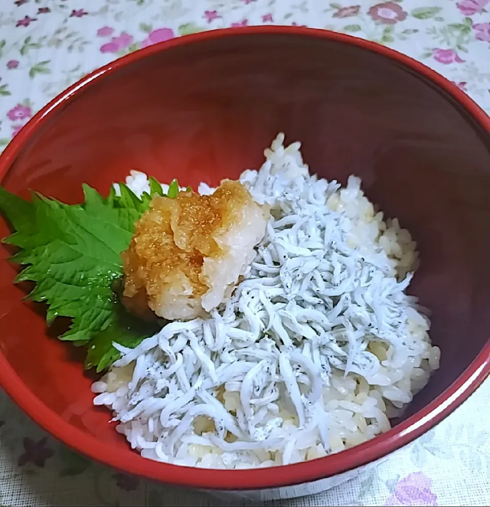 しらす丼|hiroyoさん