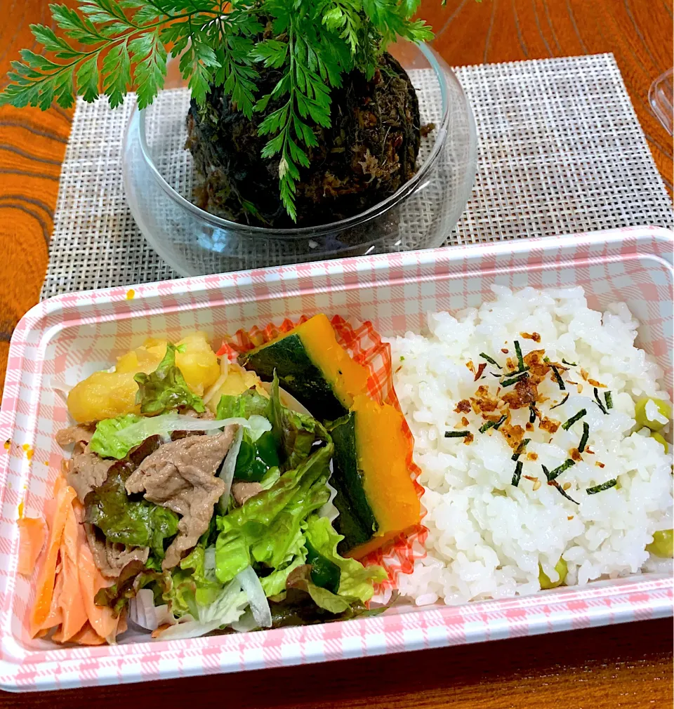 ご近所さんが届けてくださった手作りお弁当🍱|シュトママさん