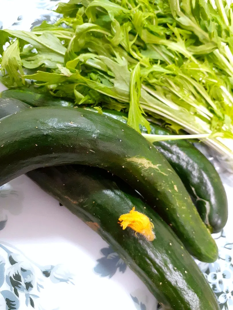 Snapdishの料理写真:🔷農家さんの朝採れ野菜🥒🌿🔷|@きなこさん