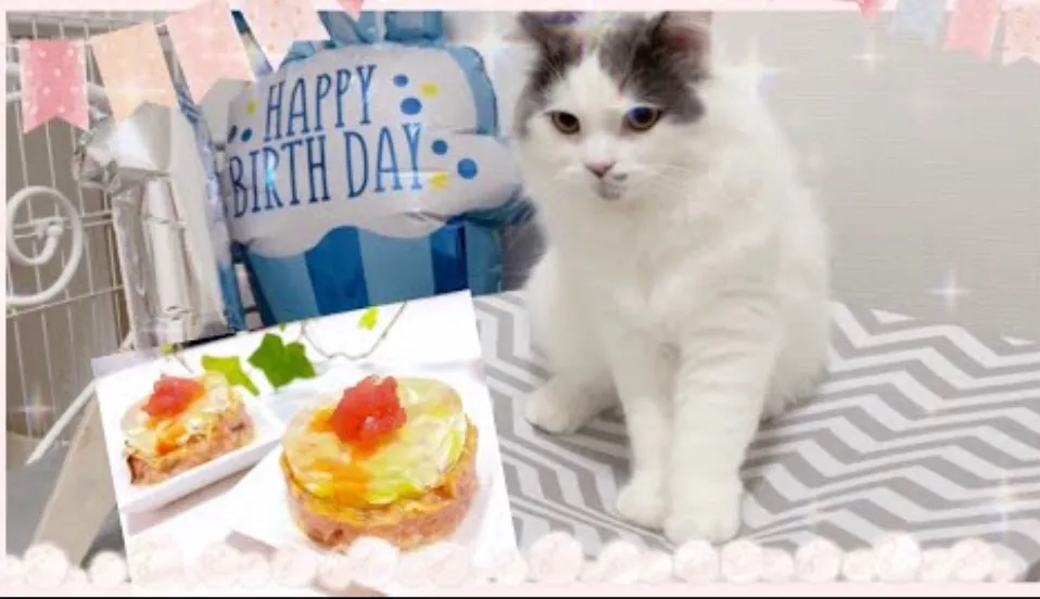 1歳のお誕生日にケーキ🍰|lalapoさん