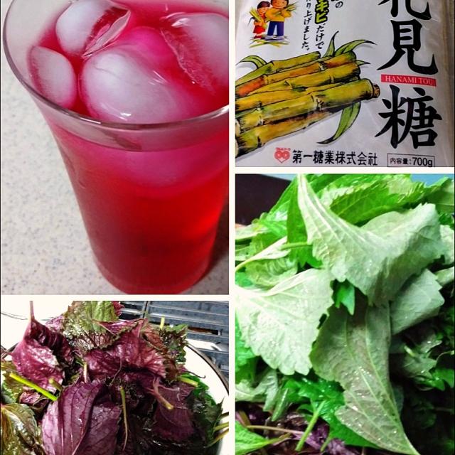 しそジュース 赤紫蘇のレシピと料理アイディア57件 Snapdish スナップディッシュ