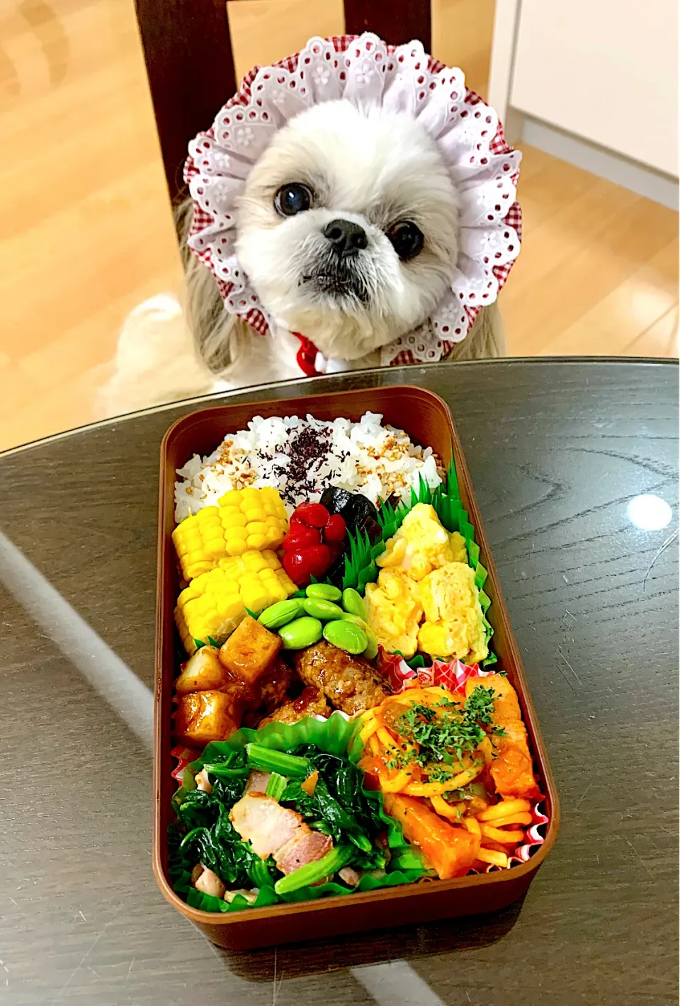 6月14日　プクパパお弁当|プクママさん