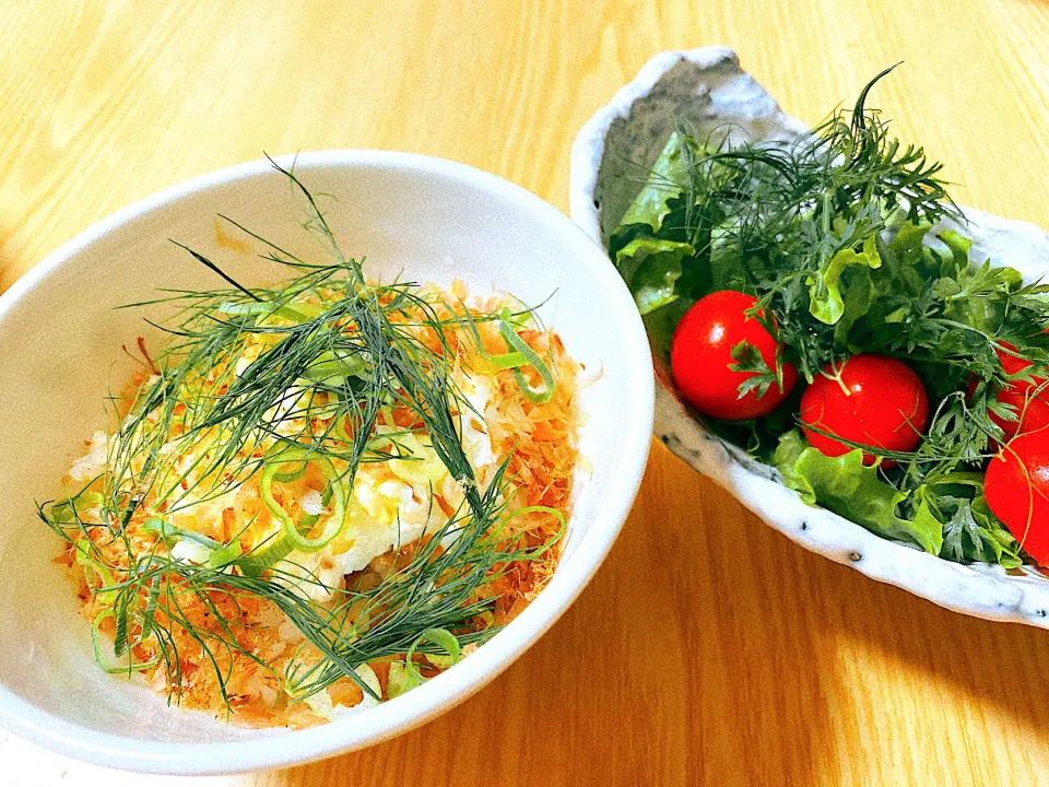 フレッシュチーズのおかかご飯とハーブサラダのモーニング|みぃ〜こさん