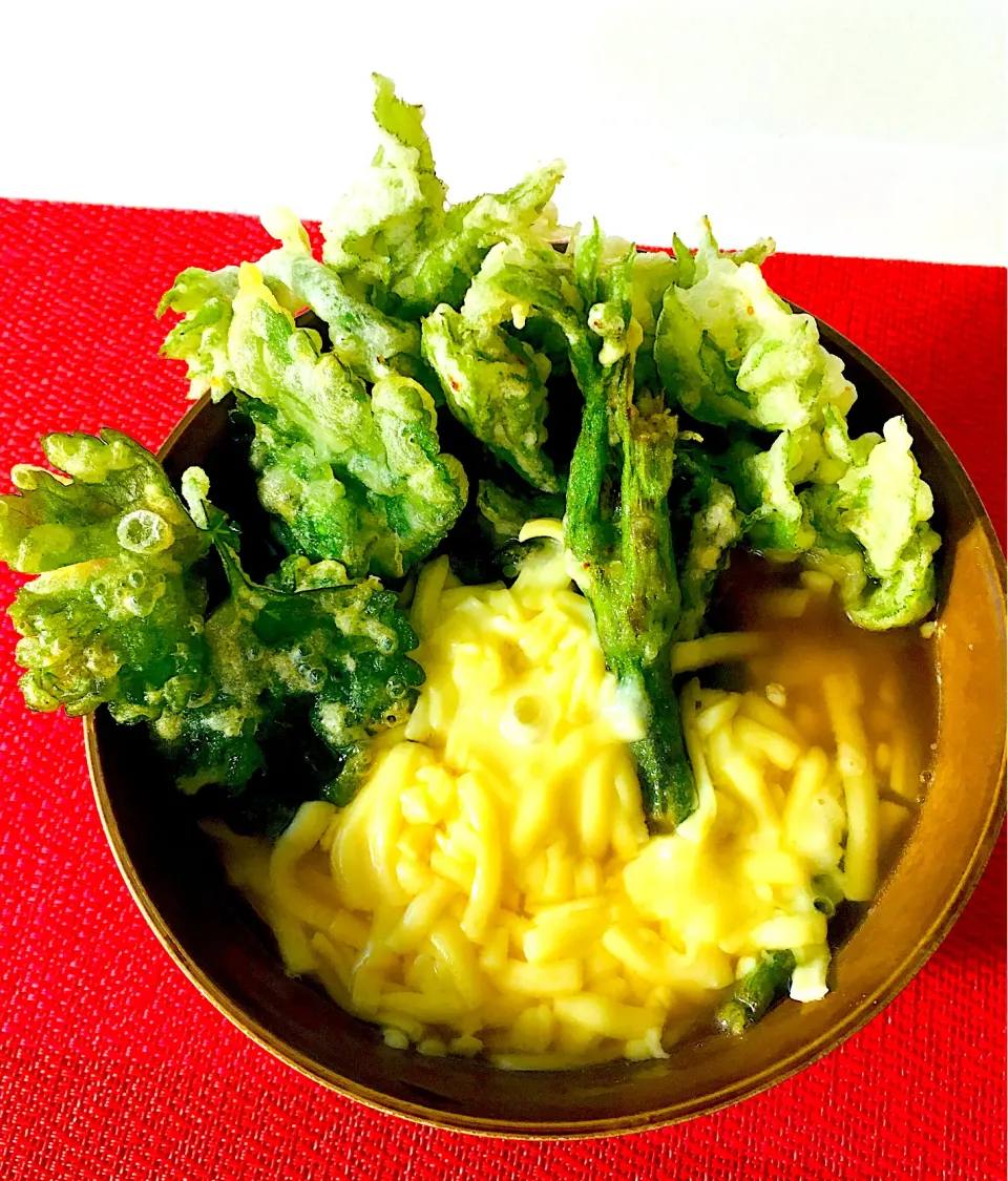 今日のご飯泥棒笑笑は山菜うど天ぷらとセロリの天ぷらチーズうどん🤗旨い😋^ - ^|HAMI69さん