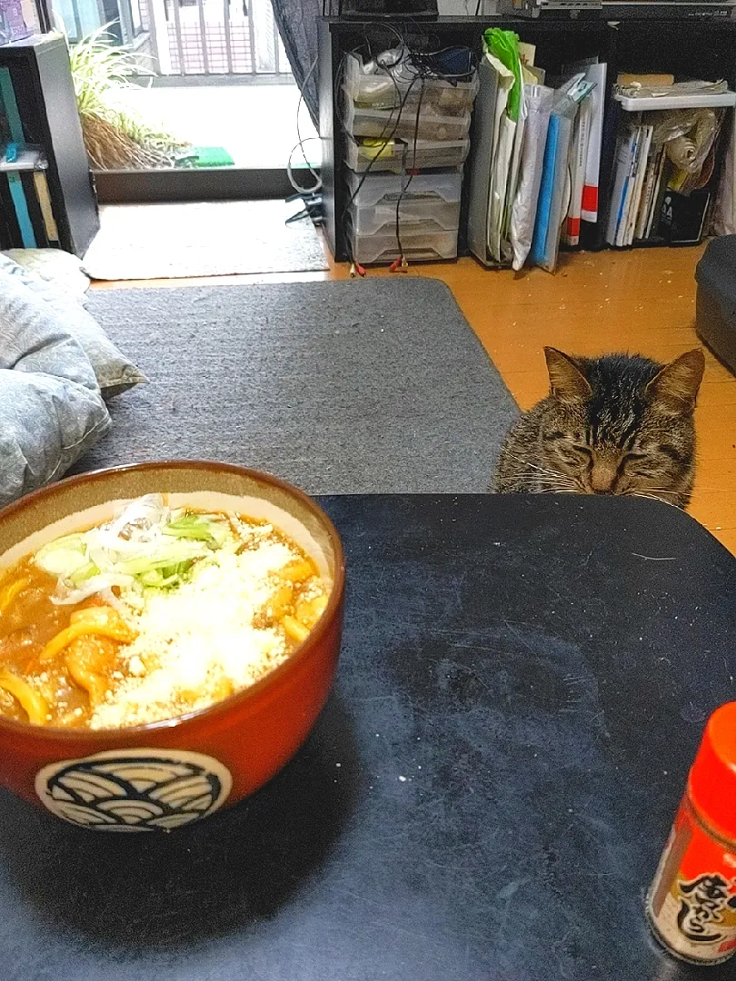 寒い梅雨空の夜勤明けカレーうどんインチーズ・onチーズ肉は鶏モモ肉|Tarou  Masayukiさん