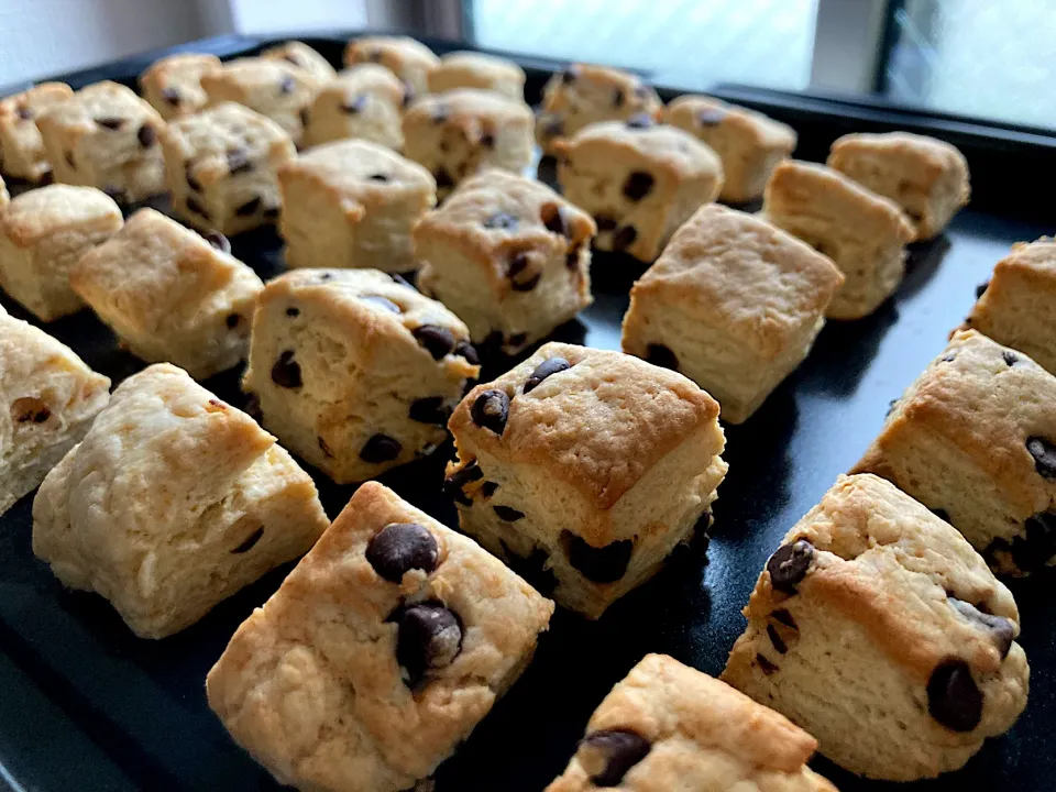 ＊チョコチップスコーン🍪＊|＊抹茶＊さん