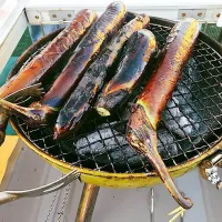 焼きなす🍆🍆🍆めんつゆに漬けて召しあがり🍻|良太さん