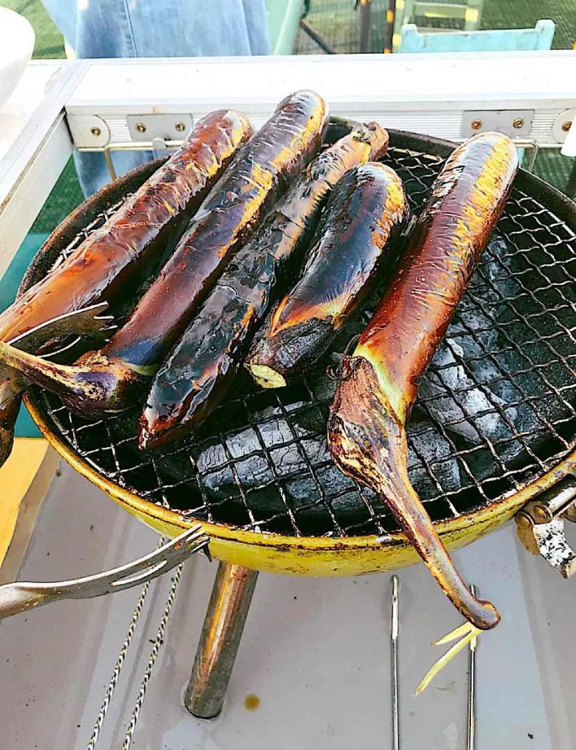 焼きなす🍆🍆🍆めんつゆに漬けて召しあがり🍻|良太さん