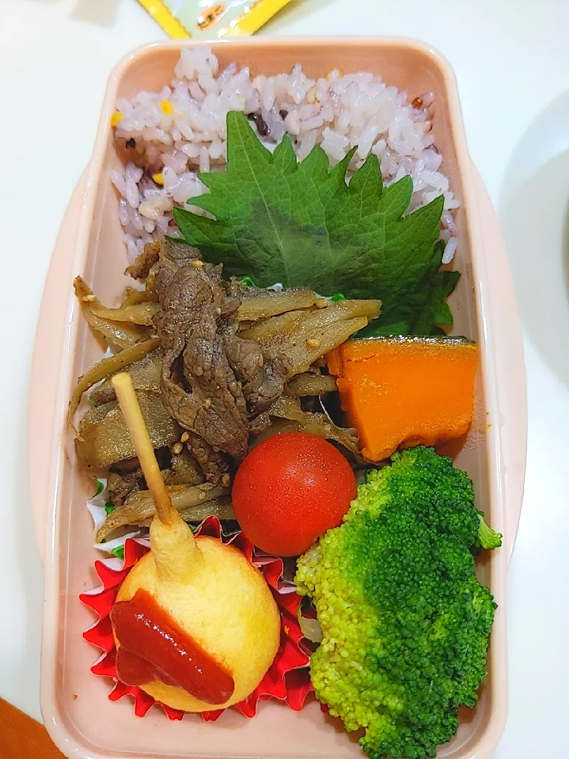 Snapdishの料理写真:牛肉とゴボウのしぐれ煮弁当|s-iさん