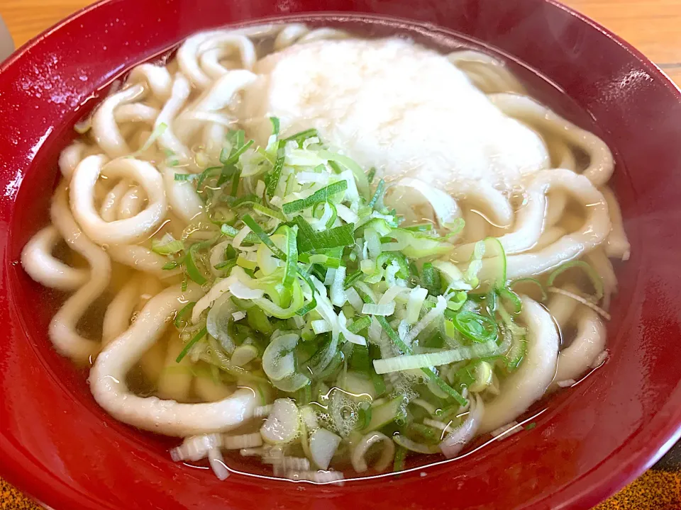 やまかけうどん|ぶりっとさん