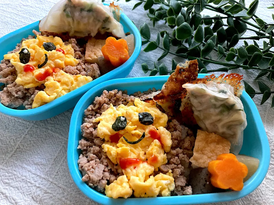 ＊何やつ？！てるてる坊主のつもりそぼろ丼＊ちびたんとべびたんの幼稚園お弁当＊|＊抹茶＊さん