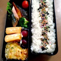 男子大学生のお弁当🍱|かめ吉くんさん