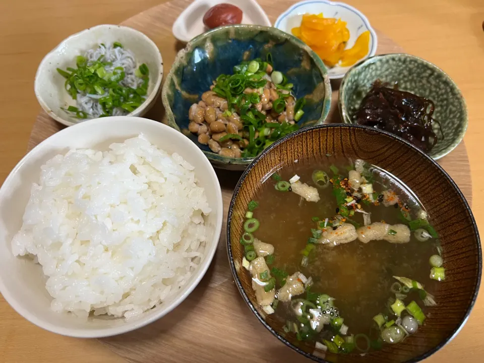 朝御飯|ハルのただ飯さん