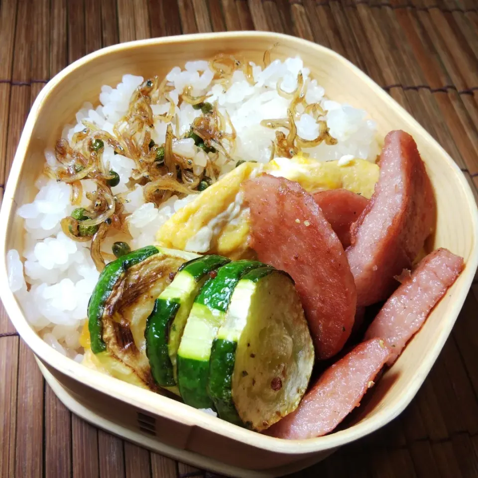 Snapdishの料理写真:6/17 派遣かーちゃん弁当|けろよんさん