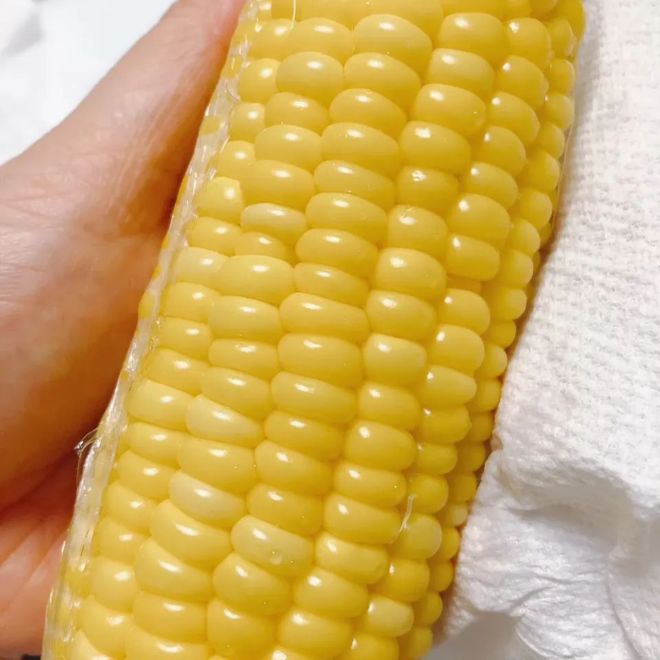 とうもろこし🌽|まめさん