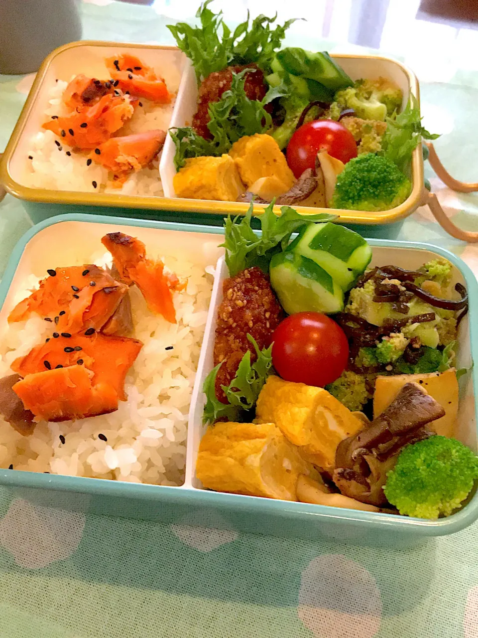 2022.6.20  ＊今日のお弁当＊ブロッコリーの塩昆布の胡麻和え＊|rinrin*mama*さん