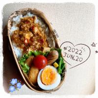 6/20 ☺︎ 麻婆豆腐丼弁当✩.*˚
