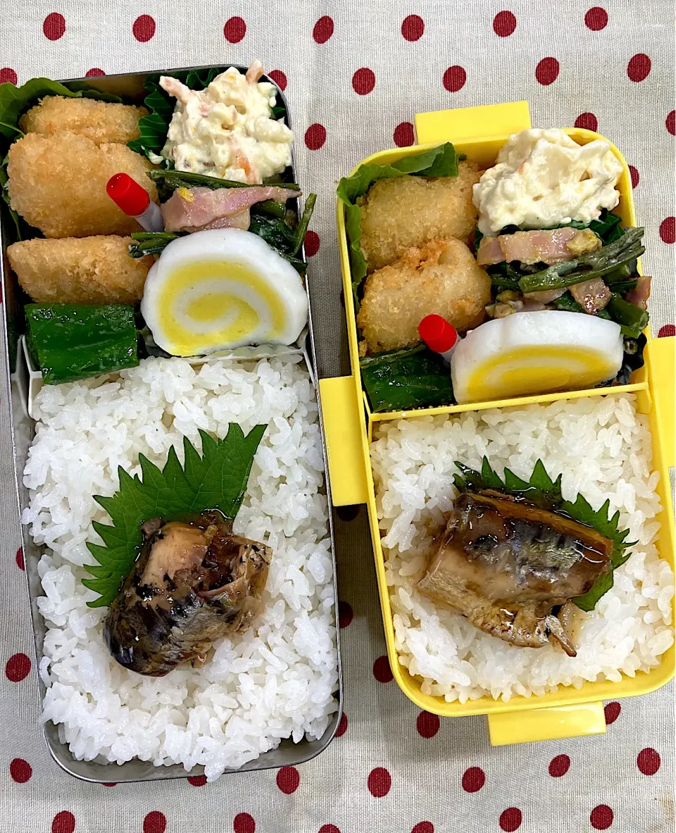 Snapdishの料理写真:6月20日 週の始まり弁当🍱|sakuramochiさん