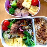 Snapdishの料理写真:小学生、幼稚園毎日お弁当|ariiさん