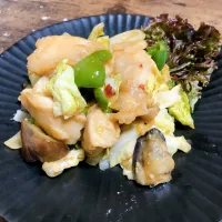 鶏むね肉と夏野菜のピリ辛味噌炒め|一言多い君さん