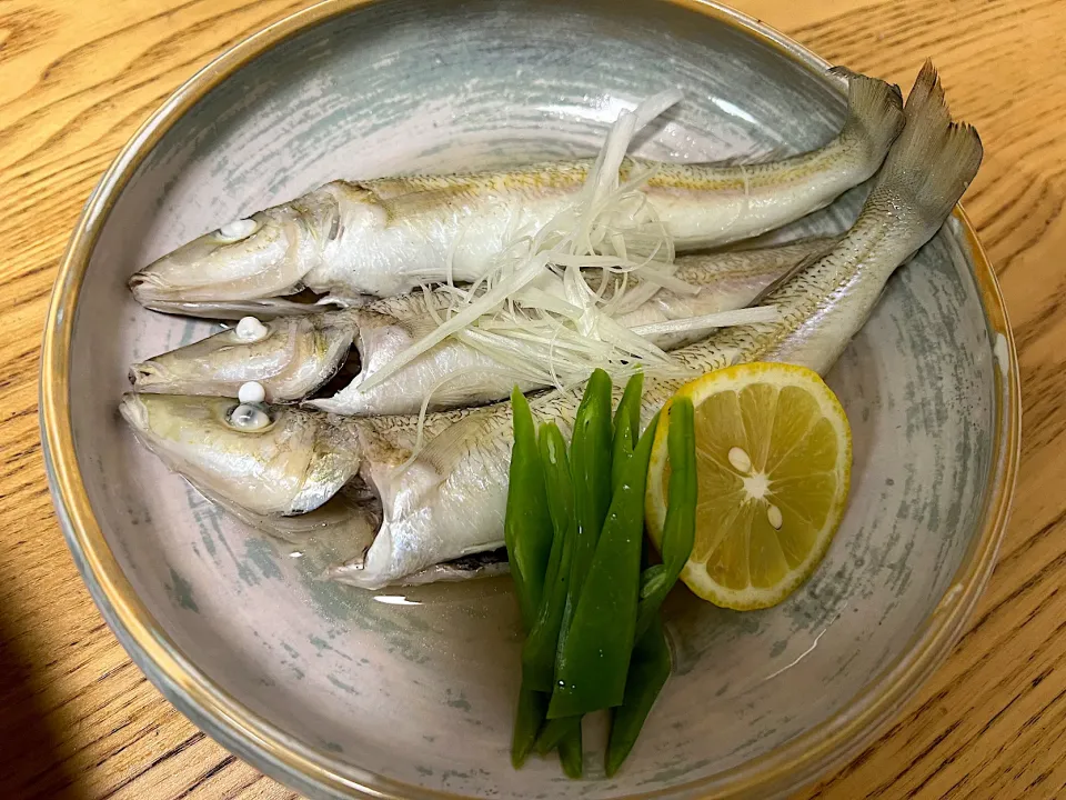 （釣）シロギスの酒蒸し|さくたろうさん