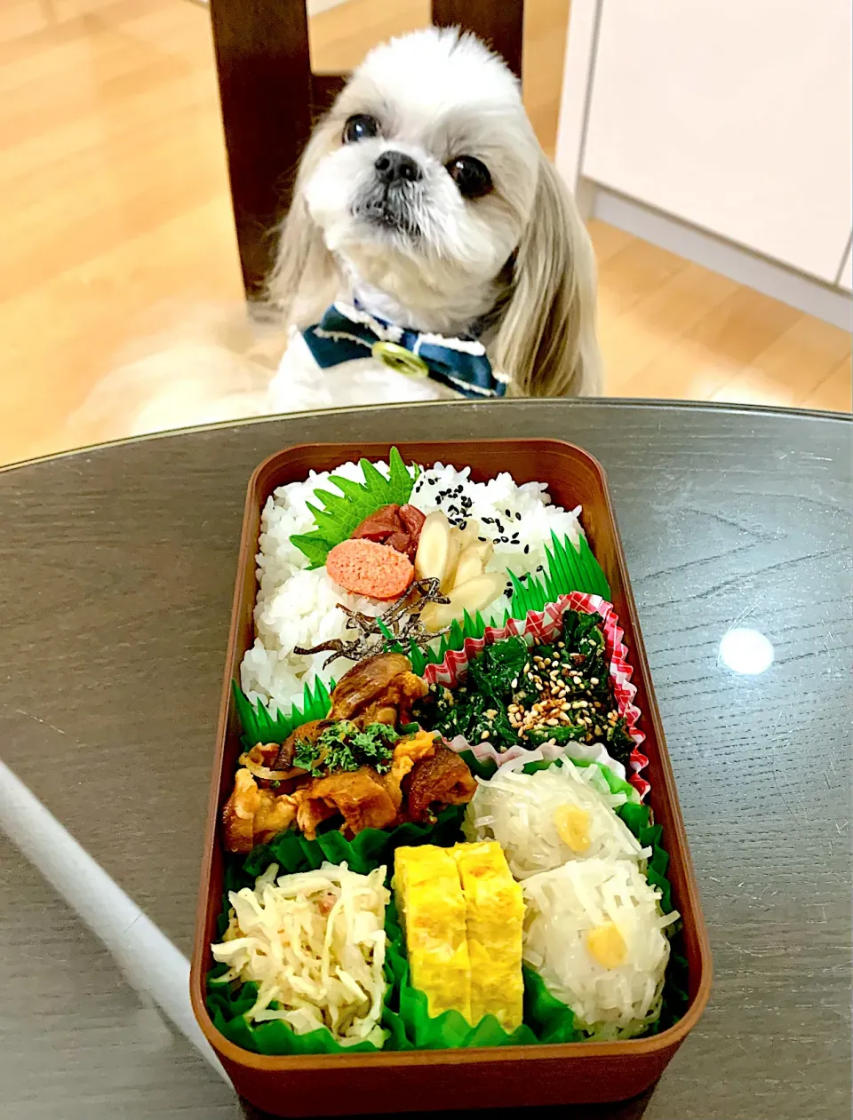 Snapdishの料理写真:6月22日　プクパパお弁当|プクママさん