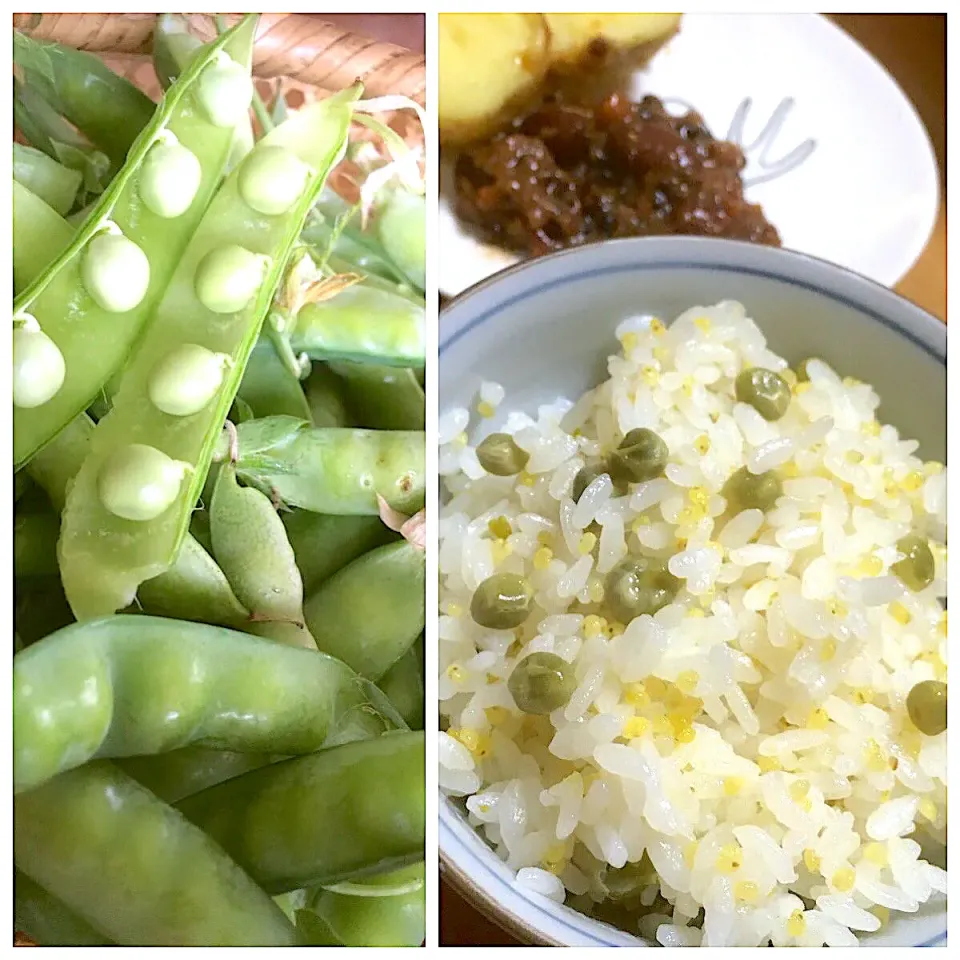 今日の農家メシ　もちキビ入り豆ごはん|Yu Yu mamaさん