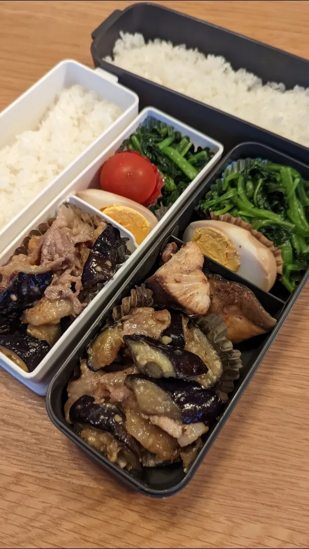 お弁当06/24|Cozzy_cookさん