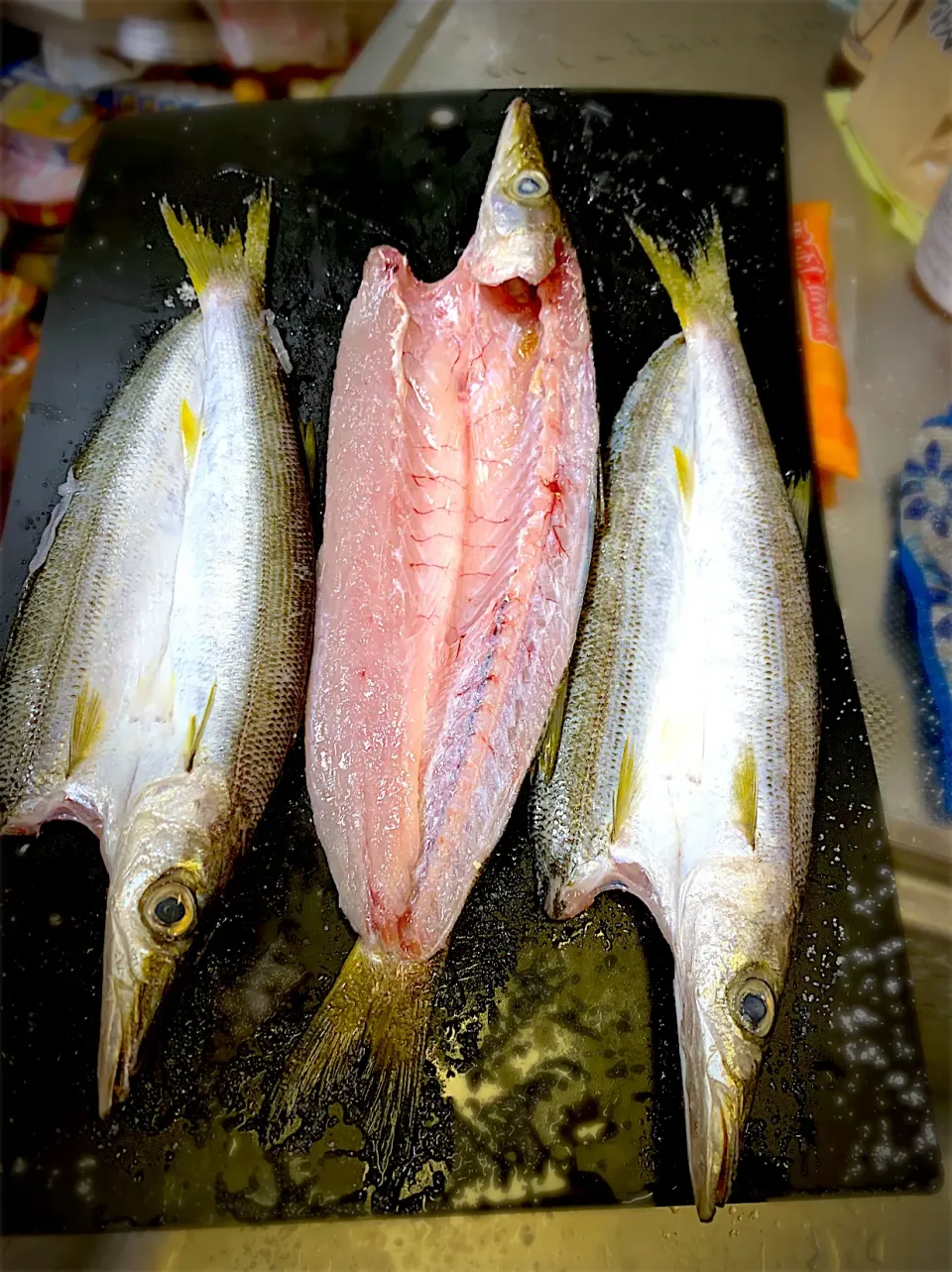 カマス開きました|やまひろさん