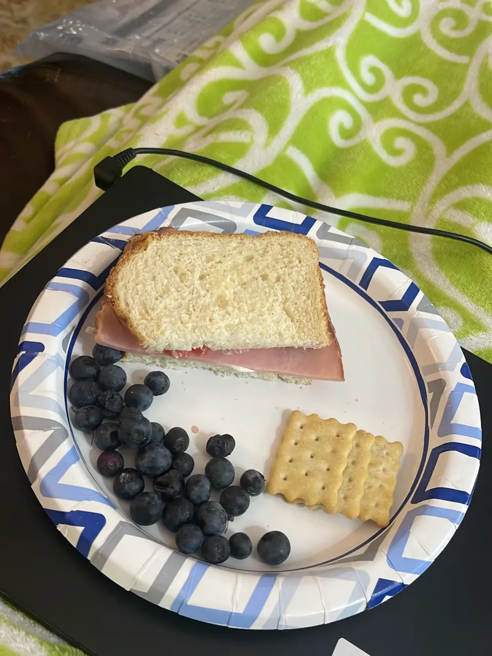 Sandwhich with blueberries and crackers|suさん