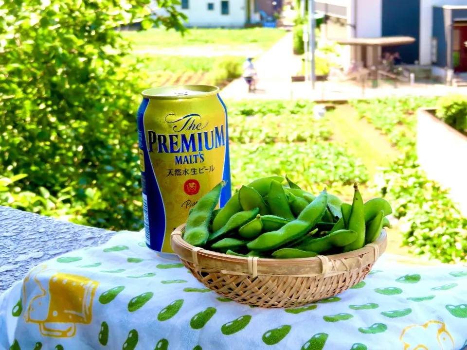 目の前の畑で採れる枝豆で有名な増久農園で朝イチ収穫した枝豆を即茹でて乾杯！^_^|Takeshi  Nagakiさん