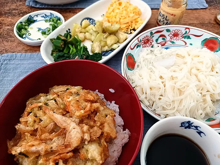 Snapdishの料理写真:ミニ天丼と冷やし稲庭饂飩|ぱいんてーるさん