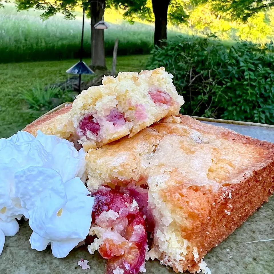 “Buried cherry” cake with whipped cream.|Dean M Rogersさん