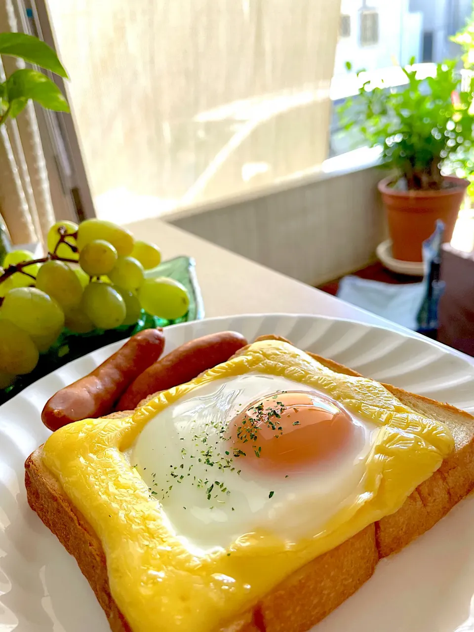 今日の朝ごはんはトーストの卵乗せ|だまさん