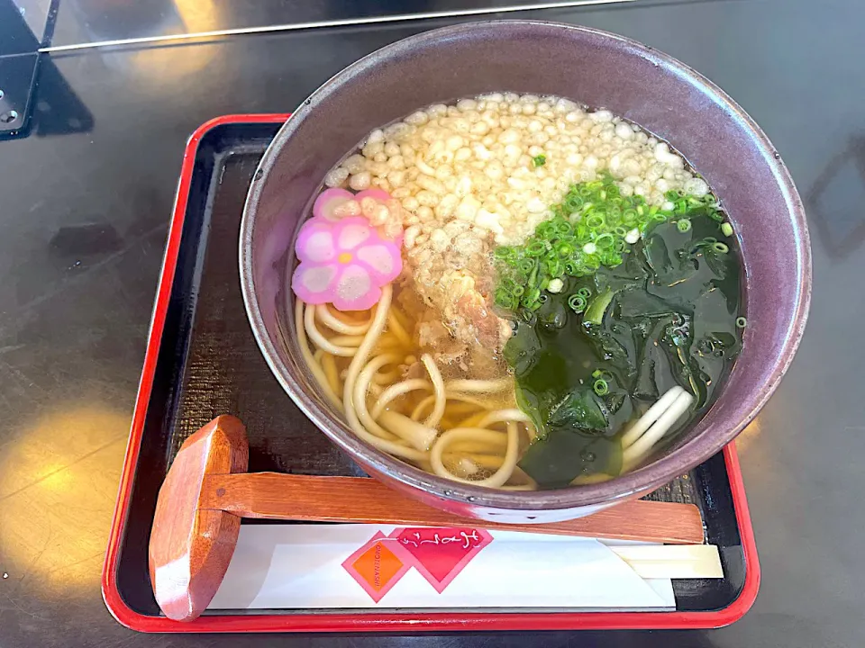 Snapdishの料理写真:五島うどん　肉うどん|コージ💫さん