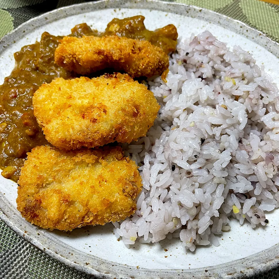 ヒレカツカレー|海鼠さん