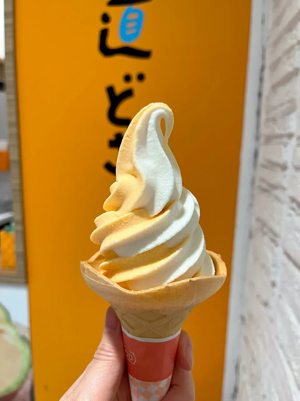 夕張メロンとミルクのミックスソフトクリーム🍦|Sakikoさん