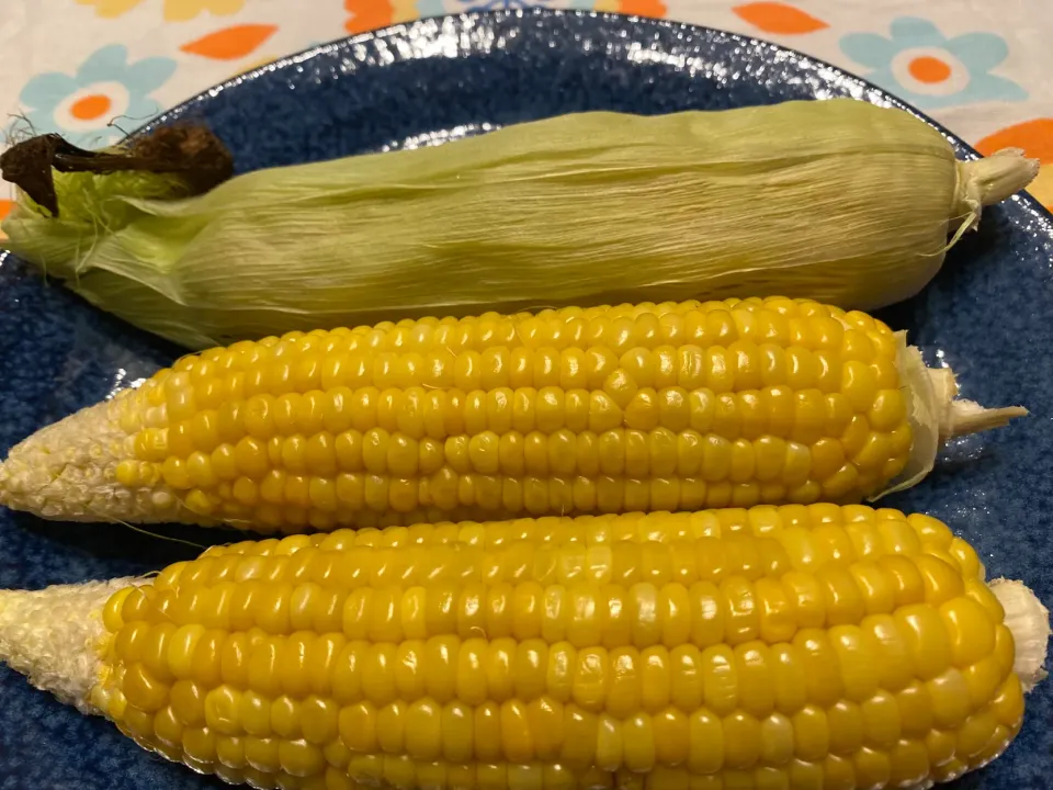 初物✨とうもろこし|こずりんさん