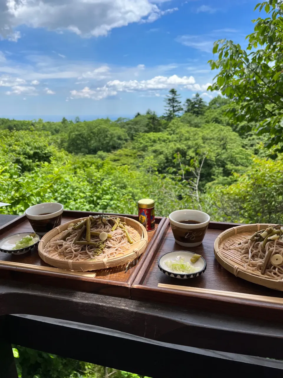 お昼は山菜ざるそば、こんな所で食べたらそりゃ美味しいですよね✌️|tamemitiさん